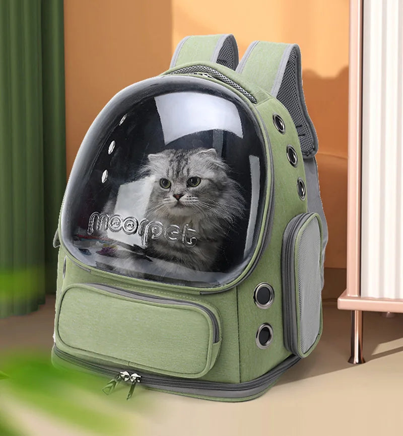 Transparent Pet Carrier Backpack for Cats & Small Dogs – Breathable Travel Bag for Outdoor Adventures